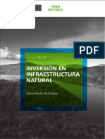 Inversión en Infraestructura Natural Previa Clase