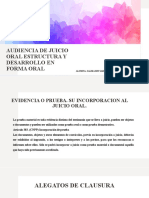 Audiencia de Juicio Oral Estructura y Desarrollo en 222