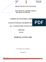 Trabajo de residuos Solidos Guilcaso Marcela