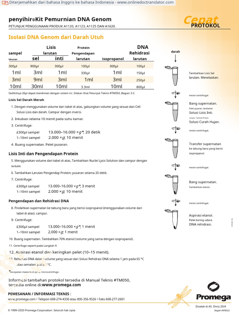 Wizard Genomic Dna Purification Kit Quick Protocol En.id En.id PDF