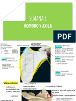 Anatomía 2