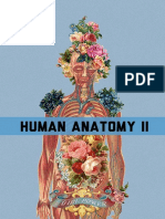 Human Anatomy TC Somnang