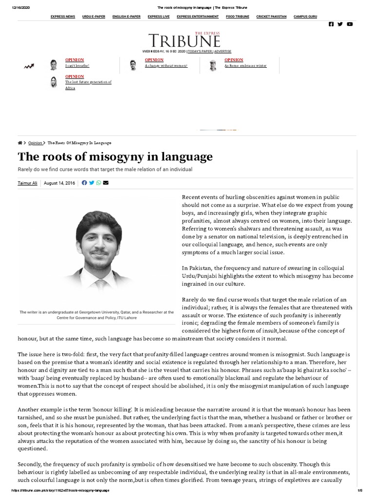 Definition Of Misogyny Dictionary