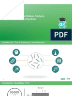 Qualitative Vs Quantitative Analysis Polymerase Chain Reaction