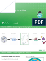 RNA Function, Diversity and Key Characteristics