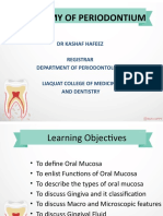 Anatomy of Periodontium DR Kashaf Hafeez 3