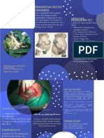 PDF 1leaflet SC - Compress