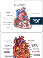 EKG Dasar Dan Cara Interpretasi