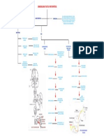 Sensibilidad Tactil Protopatica