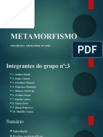 Metamorfismo Slide