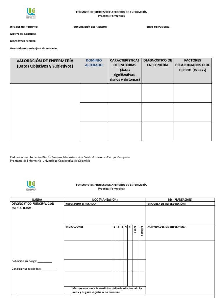 FORMATO PAE Practica Formativa 2022 | PDF | Epidemiología ...