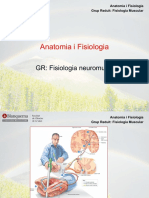 AF Farmacia GR - Fisiologia Muscular 22 23