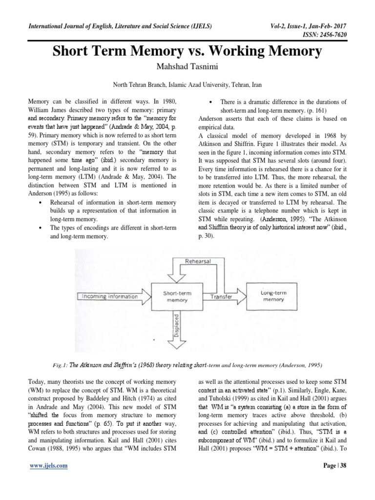 Short Term vs. Working Memory Explained | PDF | Memory | Second ...