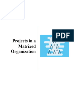 Project Mgt