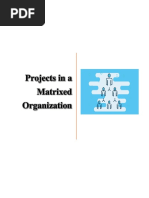 Project in a Matrixed Organization