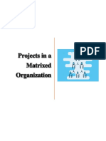 Project in A Matrixed Organization