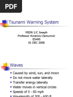 Tsunami Warning System