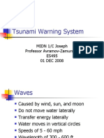 Tsunami Warning System