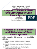 Chapter 5: Balance Sheet and Statement of Cash Flows Systems
