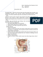 Tugas Biologi Umum