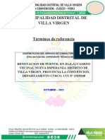 TDR - Evaluador Puente - Villa Virgen