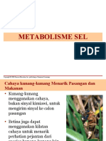 Bagi 'Metabolisme Sel - PPT'
