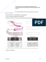 Arbeitsblatt Muskelkontraktion - SuSV2