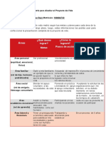 Matriz Proyecto de Vida