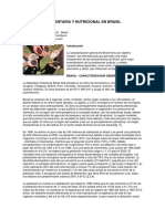 Esramos, Seguridad Alimentaria y Nutricional en Brasil