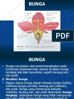 Organ Bunga