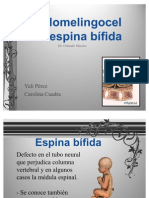 Espina bífida y meilomeningocele