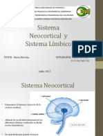 Sistema Neocorte y Sistema Limbico