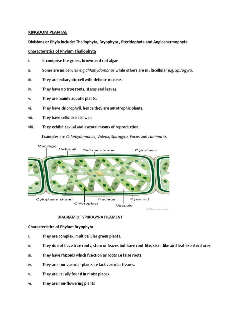 Plants | PDF | Seed | Plants
