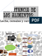 Infografía Importancia de Los Alimentos