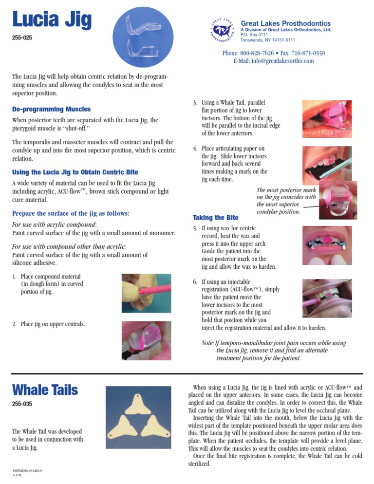 LuciaJigTo Record Centric Relation PDF Nature