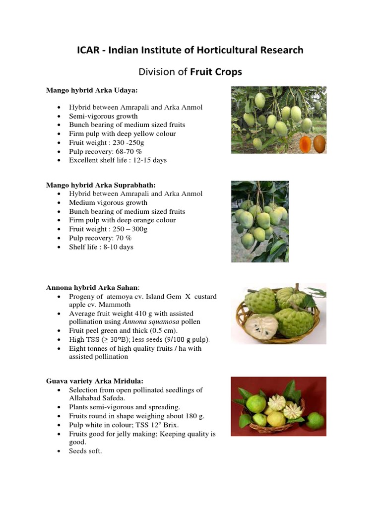 Varietis of Fruit Crops PDF Fruit Mango