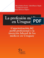 Libro Perfil Profesional