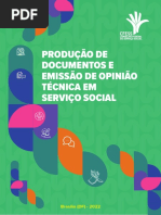 Produção de Documentos e Emissao de Opiniao Tecnica em Serviço Social