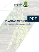 Plantas Medicinales 133