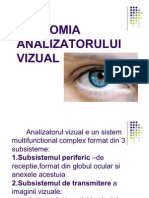 X Curs Anatomia Analizatorului Vizual