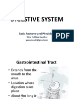 Digestive System