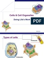 07 Cell Organelles 2009 Print