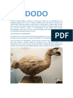 DODO