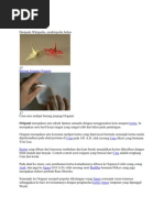 Download Origami by IqaMis SN61297290 doc pdf