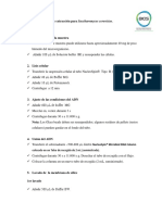 Protocolo de Extraccion de ADN para Microorganismos