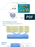 Nitrogenous Bases, Nucleotides and Nucleic Acids - For Upload