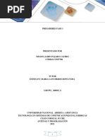 Nilson - Pajaro - Castro - Grupo - 208019 - 6 - Fase - 1 - Presaberes