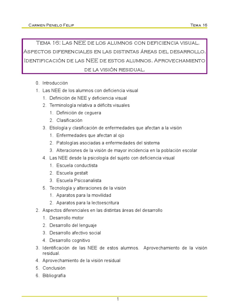 NEE en Alumnos con Deficiencia Visual | PDF | Ojo humano | Percepción ...