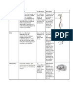 Documento Sin Título