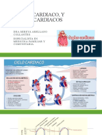 Soplos Cardiacos y Ciclos Cardiacos